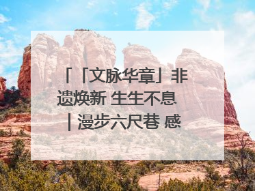 「文脉华章」非遗焕新 生生不息｜漫步六尺巷 感受礼让文化浸润的“巷”往生活